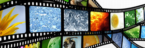 動画コンテン事業のイメージ